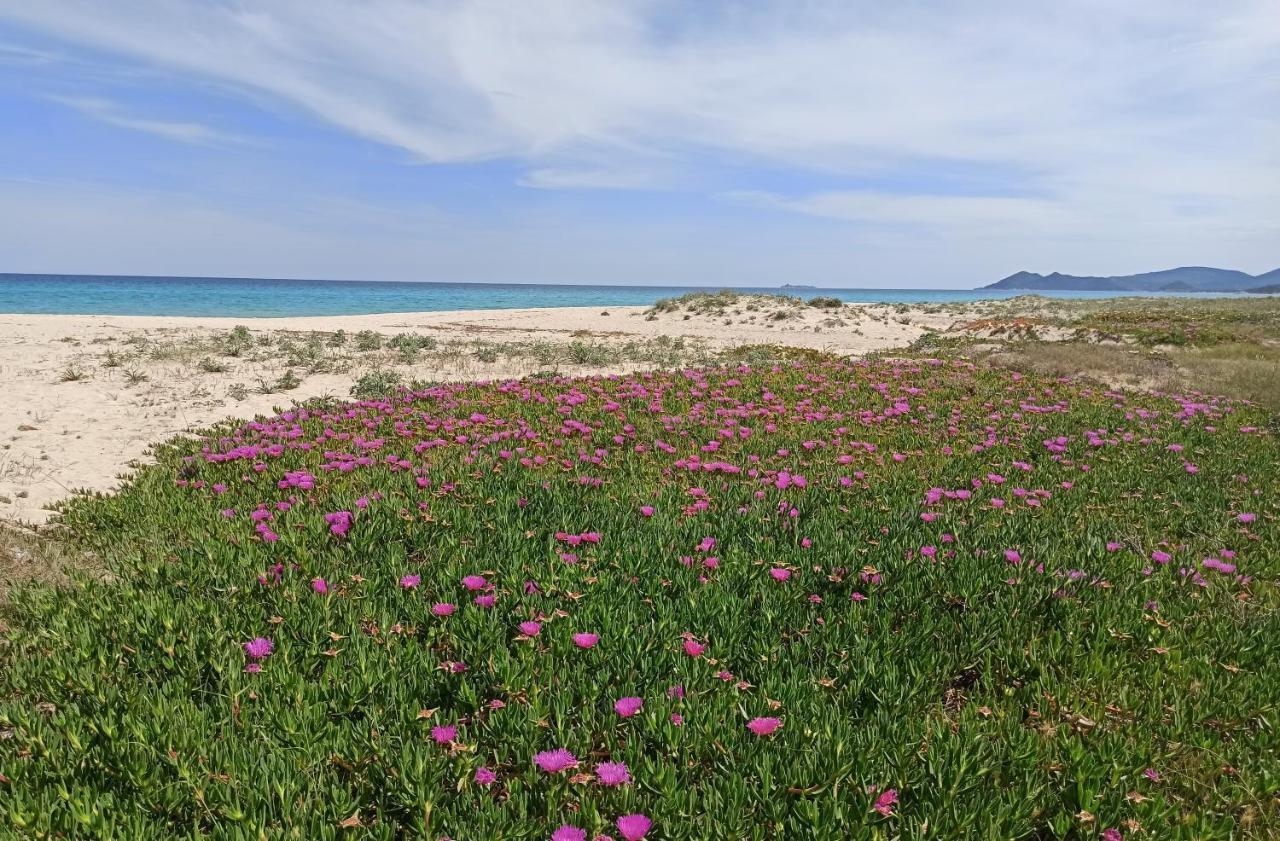 Casa Perla Rei - 50 Meters From The Beach 코스타 레이 외부 사진