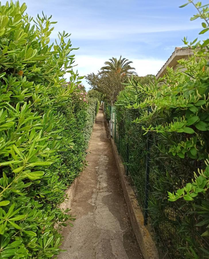 Casa Perla Rei - 50 Meters From The Beach 코스타 레이 외부 사진